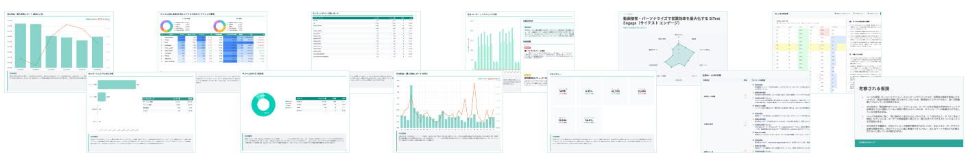 LPやサイトの課題を SiTest のAIが瞬時に明らかにし、担当者のスキルに左右されない、レポートを出力いたします。